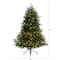 4ft. Pre-Lit South Carolina Spruce Artificial Christmas Tree, Clear Lights